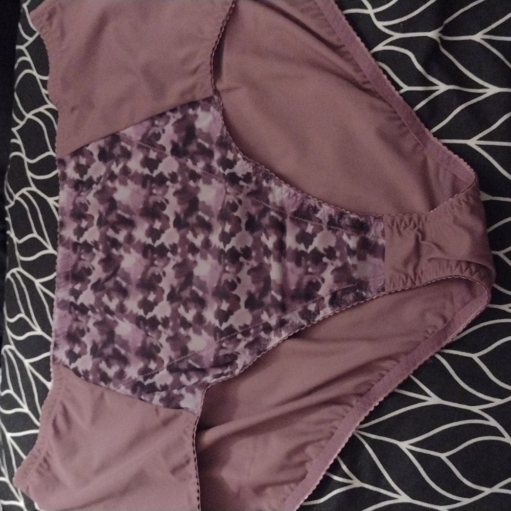 Rhonda Shear Mesh briefs 3X (24-26)